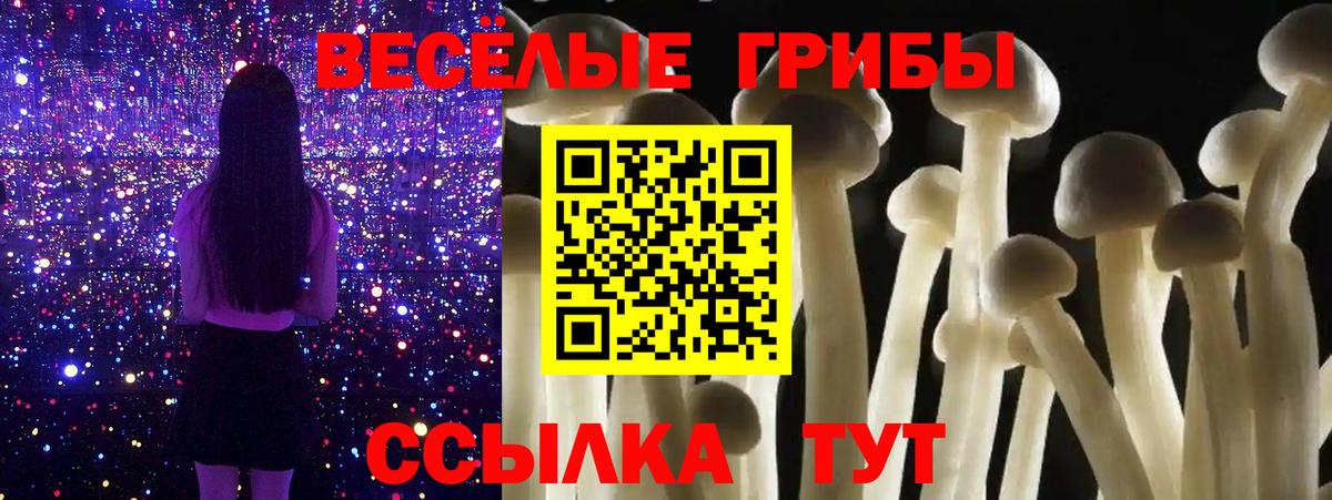 Псилоцибиновые грибы мухоморы  Вход с VPN  Подольск 